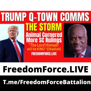 Trump Rally Illinois 6.26.22