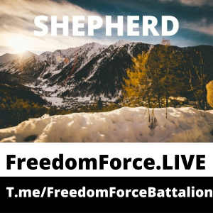 Shepherd