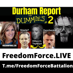 Durham Report Dummies 2  5.28.23