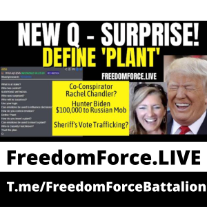 New Q - Surprise 6.29.22