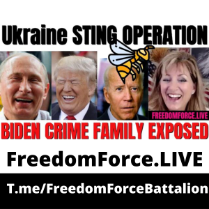 Sting Operation 1.26.22