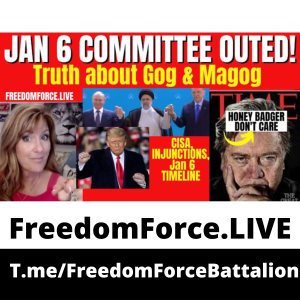 Jan 6 Committee 7.20.22