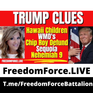 Trump Clues! WMD’s, Hawaii 8.20.23