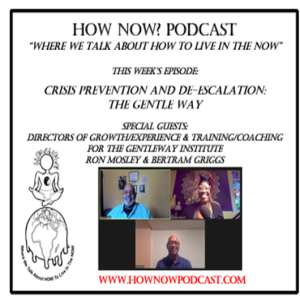 Crisis Prevention and De-Escalation: The Gentle Way - REPLAY