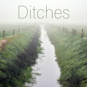 Ditches