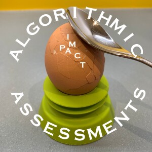 Algorithmic Impact Assessments