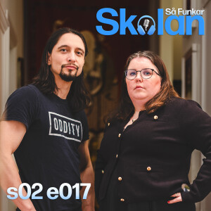 s02 e017 - Riksrevisionen & Rapporten