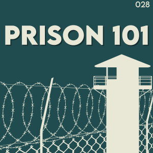 Prison 101