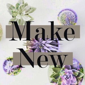 Make New: New Values | Rev. Joshua Drew