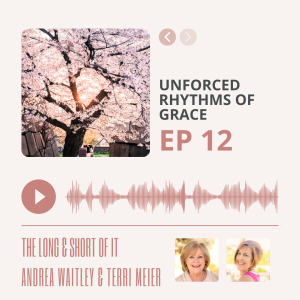 Ep 12 / Unforced Rhythms of Grace