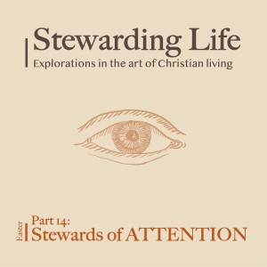 Stewarding Life Part 14: Stewards of ATTENTION