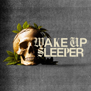 Wake Up Sleeper