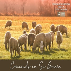 Creciendo en Su Gracia. Tony Martínez.
