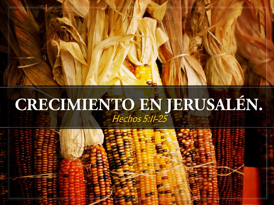 18. CRECIMIENTO EN JERUSALÉN. Hechos 5.11-25