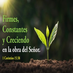 Firmes, Constantes y Creciendo en la Obra del Señor. Pastor Gerson González C. 