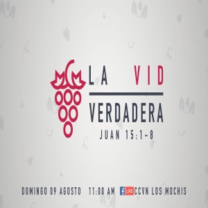 Serie Mensajes del Aposento Alto. / 09. La Vid Verdadera. Pastor Gerson González C.