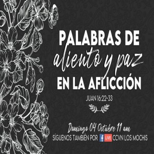 Serie Mensajes del Aposento Alto. / 16. Palabras de Aliento y Paz en la Aflicción. Pastor Gerson González C.