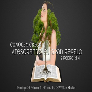 Serie 2 Pedro / 02. Atesorando el gran regalo. Pastor Gerson González C.