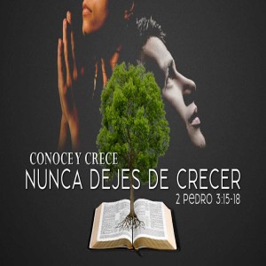 Serie 2 Pedro / 12. Nunca Dejes de Crecer. Pastor Gerson González C.
