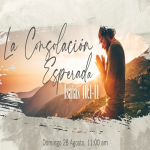 La consolación esperada. Gabriel E. Valenzuela