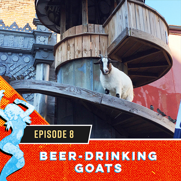 Beer-Drinking Goats at Silky O'Sullivan's