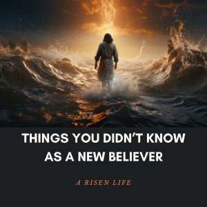 Things you didn't know as a new believer