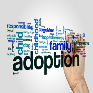 Getting to Yes on Adoption