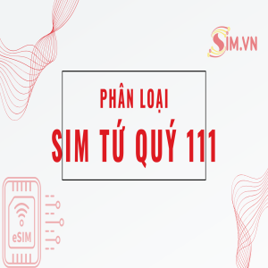 Sim Tứ Quý 1 gồm những loại nào?