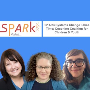 E115: Systems Change Takes Time: Coconino Coalition for Children & Youth