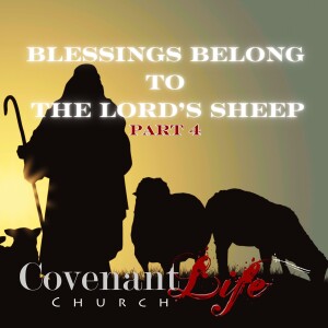 Blessings Belong to The Lord's Sheep Pt4