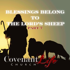 Blessings Belonging to The Lord's Sheep Pt7