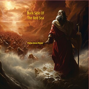 Dark Side of The Red Sea