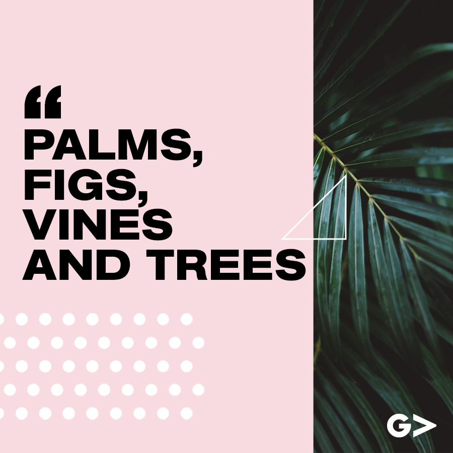 Palm Sunday - Palms, Figs, Vines and Trees