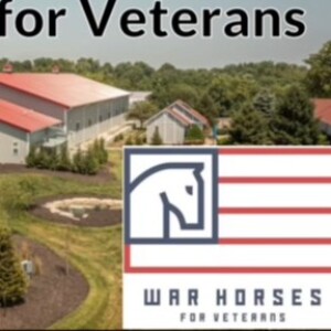 Warhorses for Veterans  |  The organization everyone should know about!