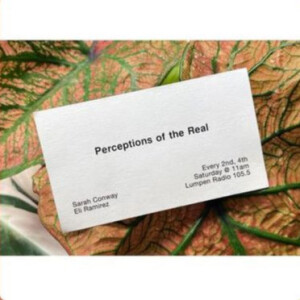 Perceptions of the Real • Sarah Geis