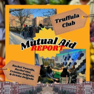 Mutual Aid Report • 04-09-2024 • Truffula Club