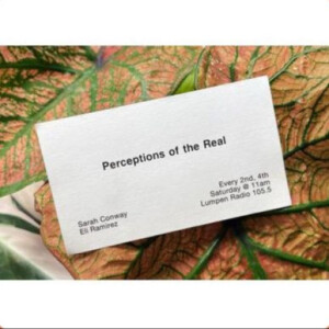 Perceptions of the Real • 02-10-2024 • Stuti Sharma