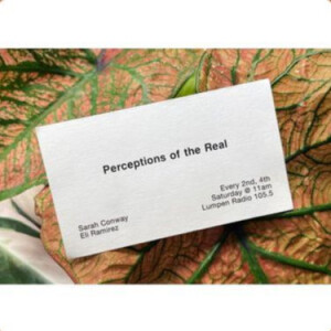 Perceptions of the Real • Jenny Casas