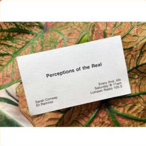 Perceptions of the Real • 03-29-2024 • Sabrina Beydoun