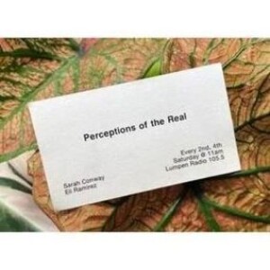 Perceptions of the Real • 04-26-2025 • Tonika Lewis Johnson