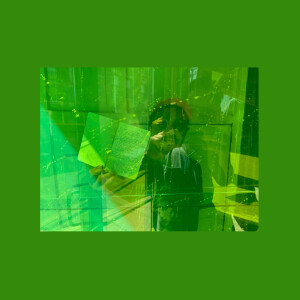 Perceptions of the Real • 09-02-2023 • Francisco Ramirez Pinedo