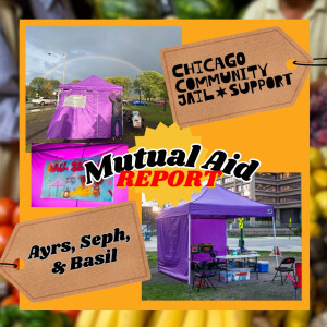 Mutual Aid Report • 10-17-2023 • Chicago Community Jail Support