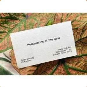 Perceptions of the Real • 05-24-2025 • Davon Clark