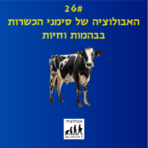 #26 האבולוציה של סימני הכשרות בבהמות וחיות