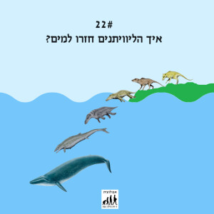 #22 איך הליוויתנים חזרו למים?