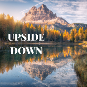 Upside Down (week 6)