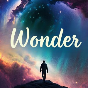 Wonder (week 4)