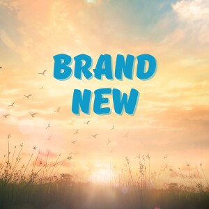 Brand New (week 5)