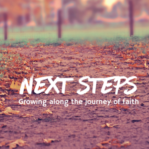 Next Steps (week 4)