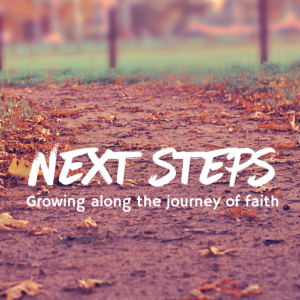 Next Steps (week 5)